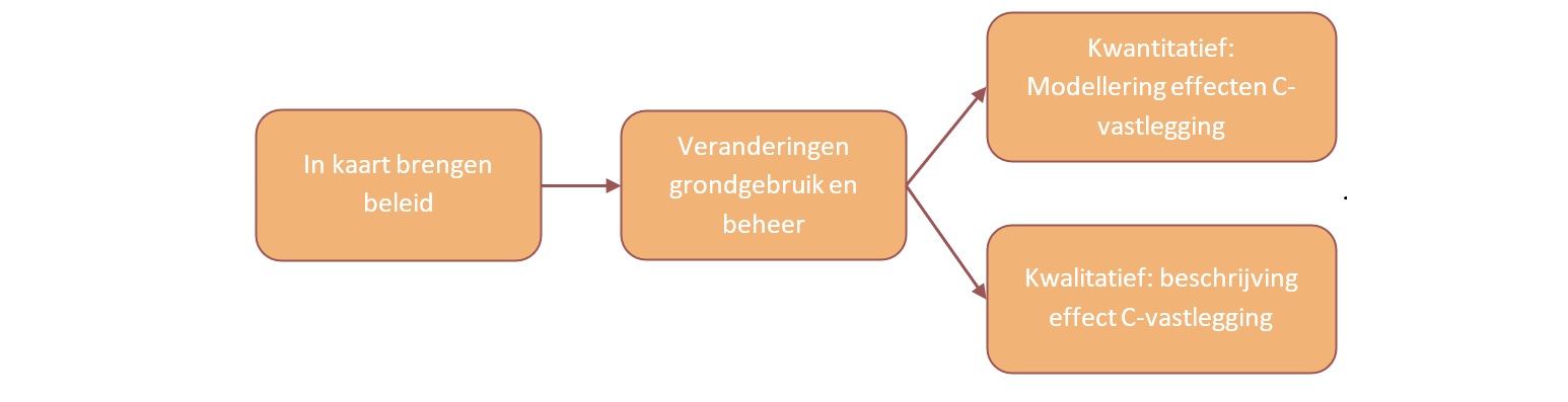 keuze effect van beleid